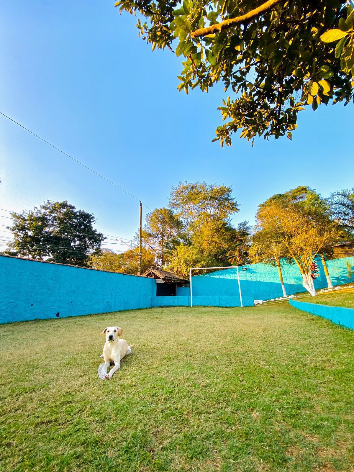 Clínica Guarulhos - Foto 3